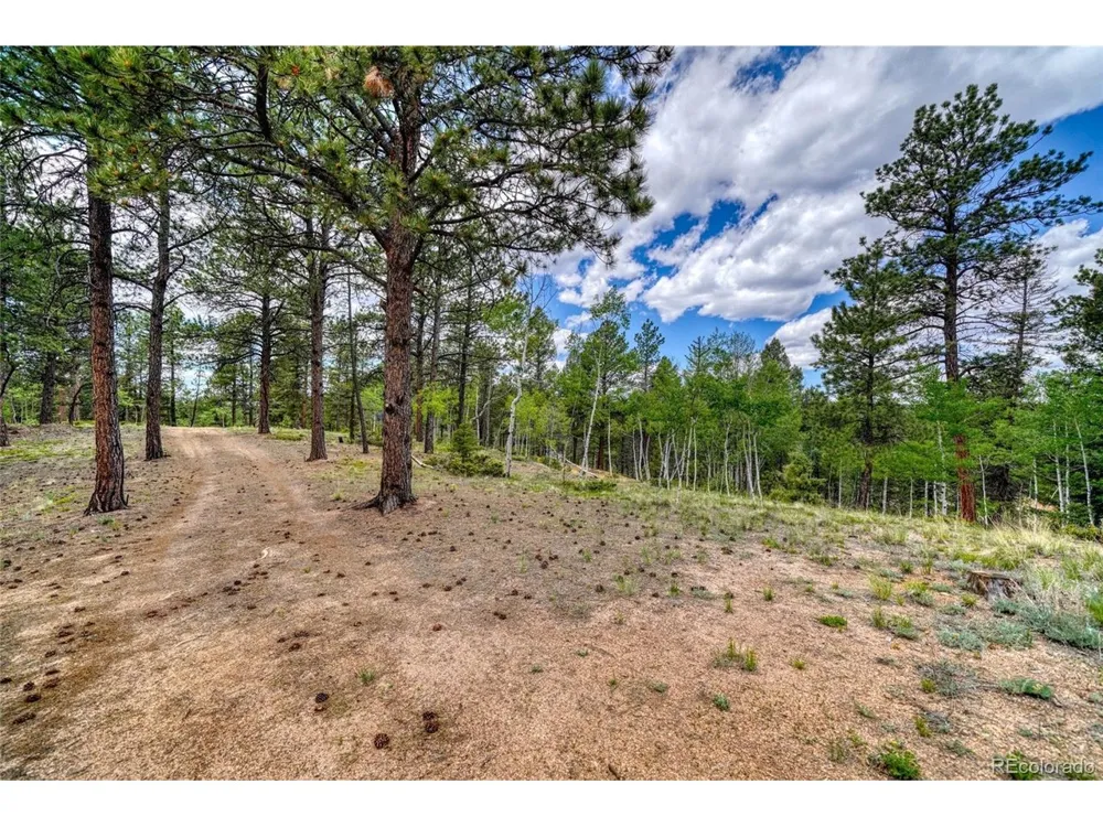 2927 Pathfinder Road Florissant, CO 80816