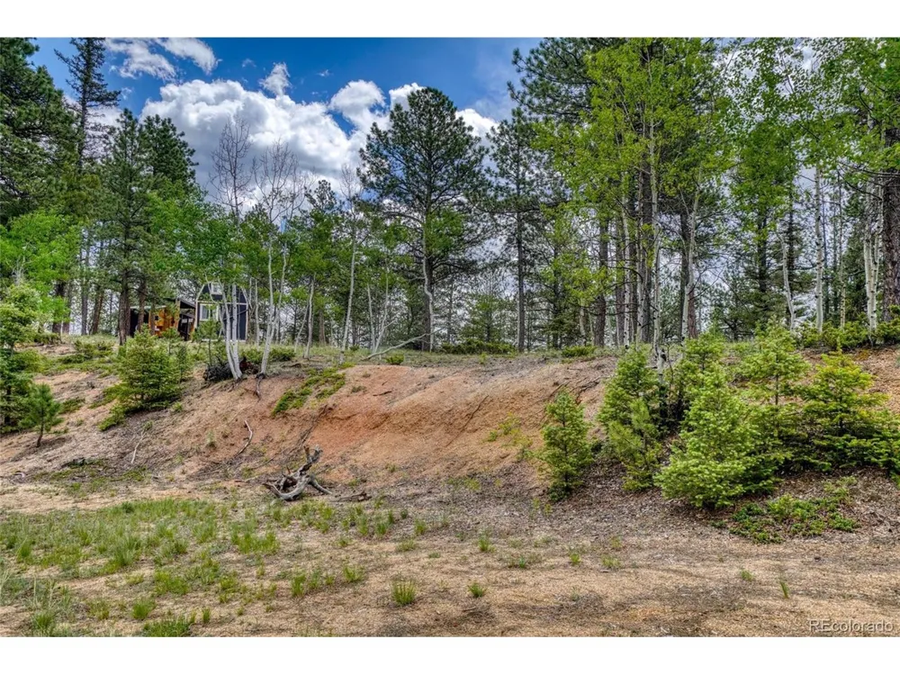 2927 Pathfinder Road Florissant, CO 80816