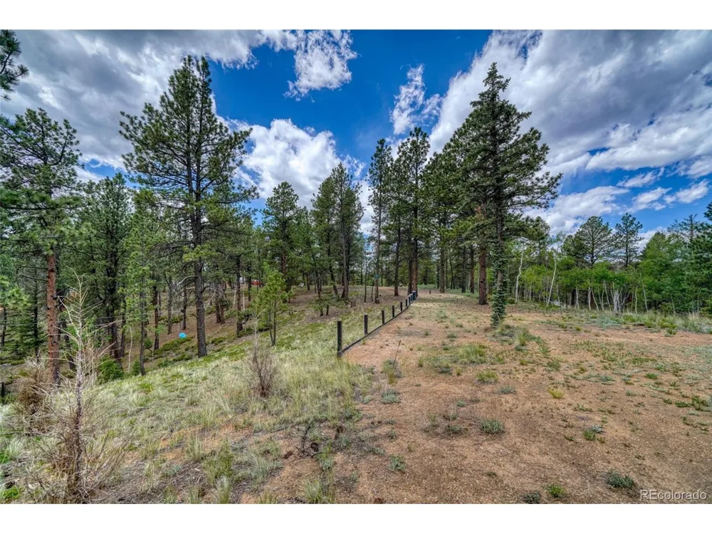 2927 Pathfinder Road Florissant, CO 80816