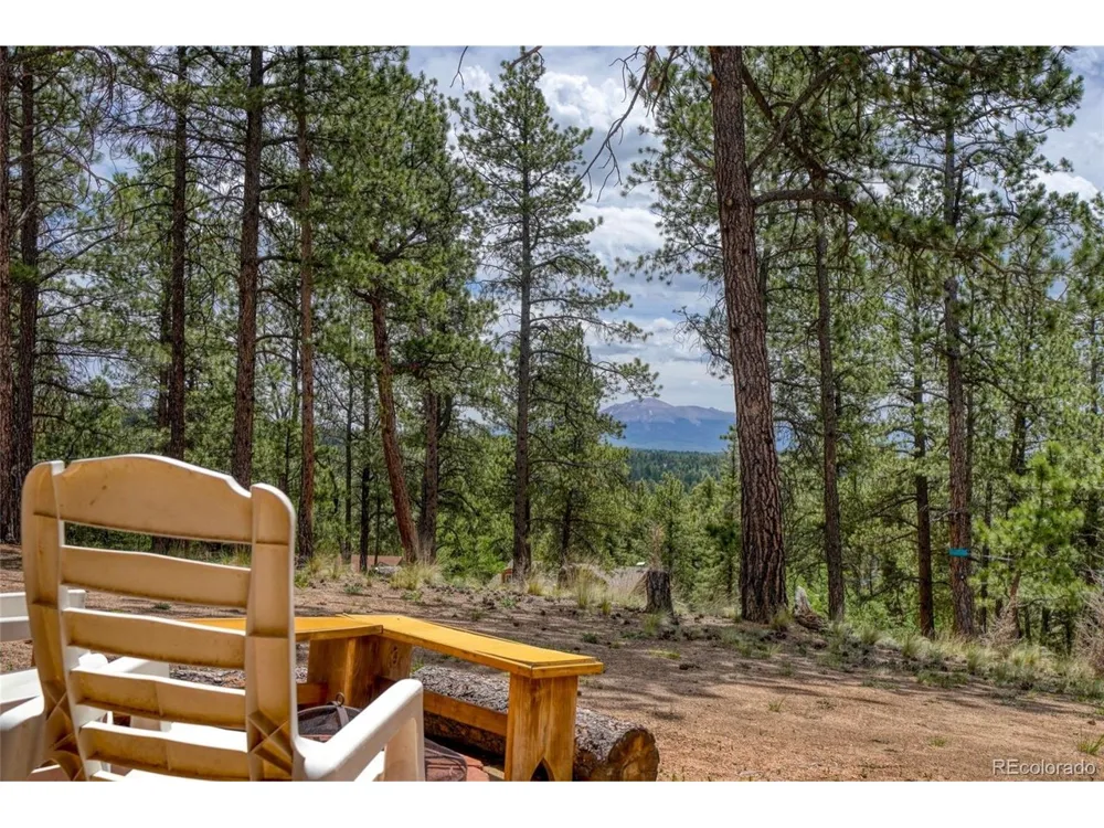 2927 Pathfinder Road Florissant, CO 80816