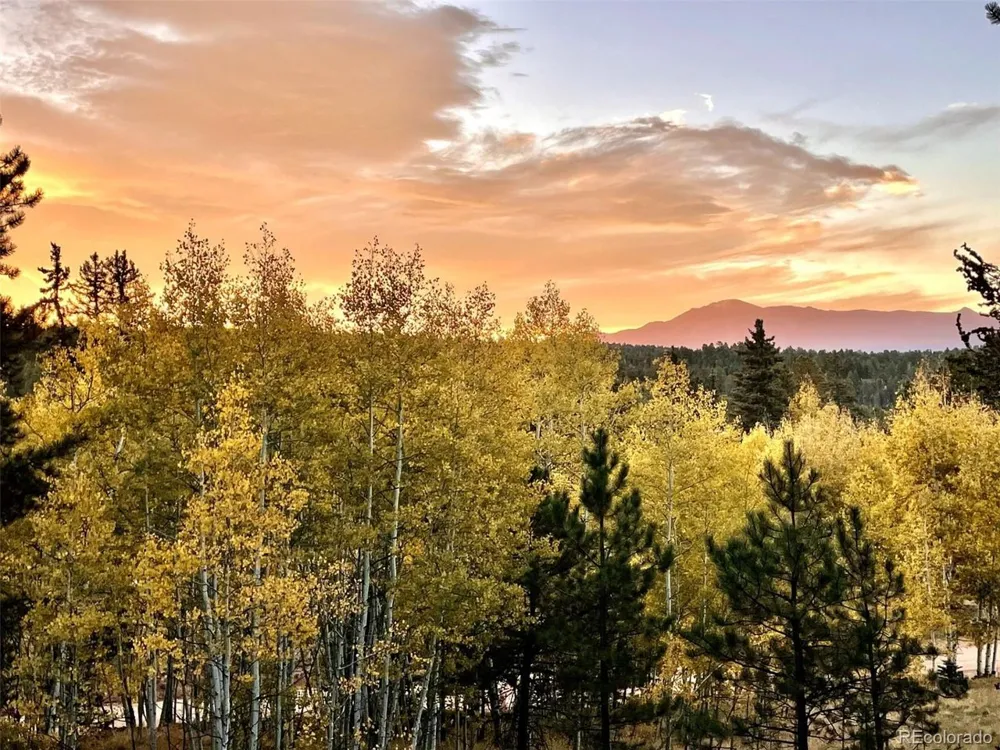 2927 Pathfinder Road Florissant, CO 80816