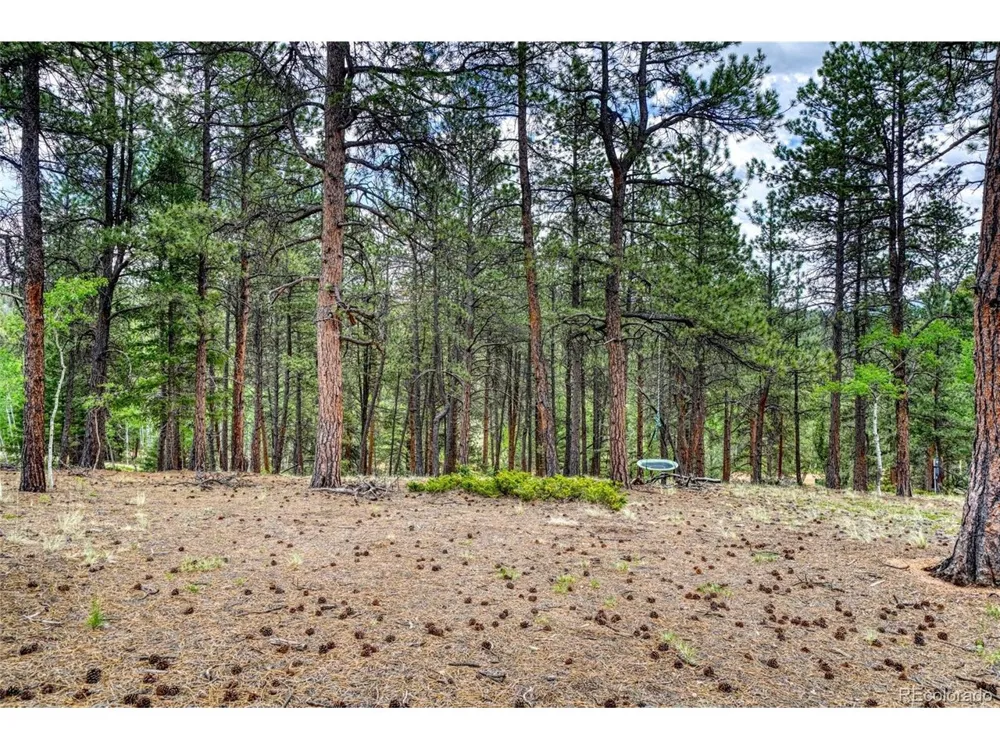 2927 Pathfinder Road Florissant, CO 80816