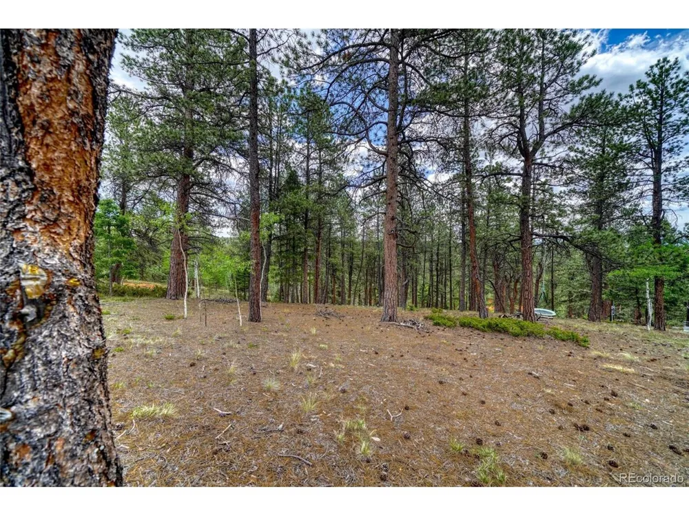 2927 Pathfinder Road Florissant, CO 80816