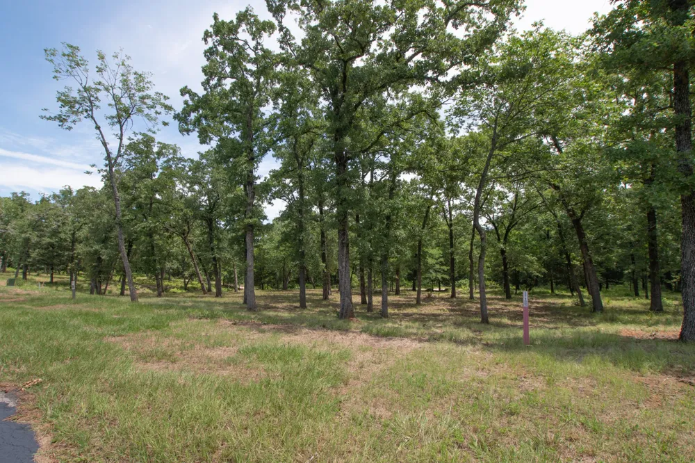 7002 Lakeshore Way Malakoff, TX 75148