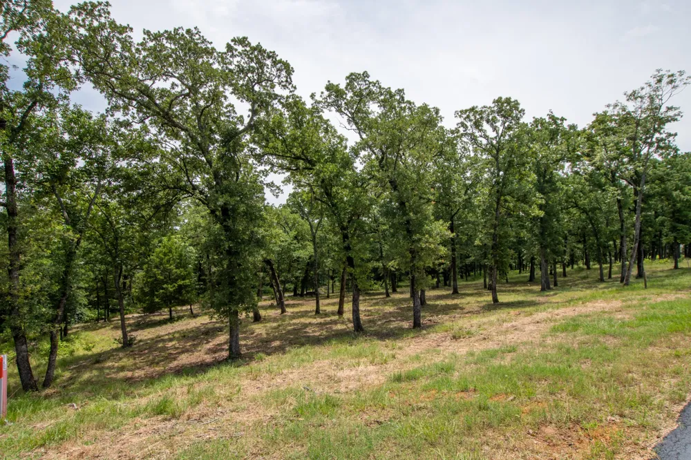 7002 Lakeshore Way Malakoff, TX 75148
