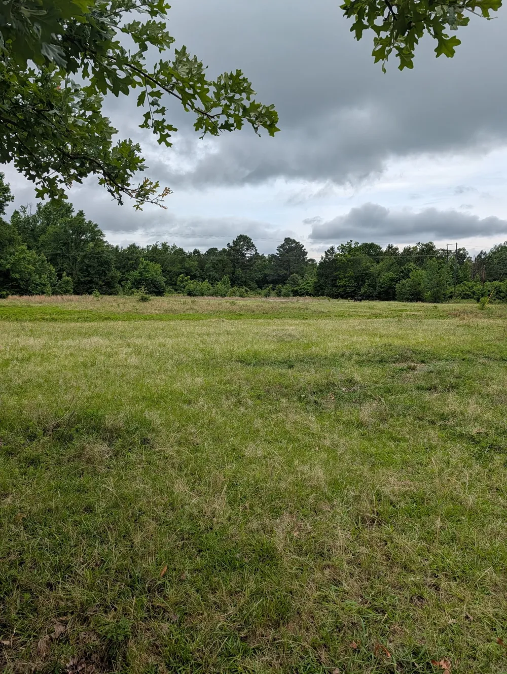 CR 3448 Hawkins, TX 75765