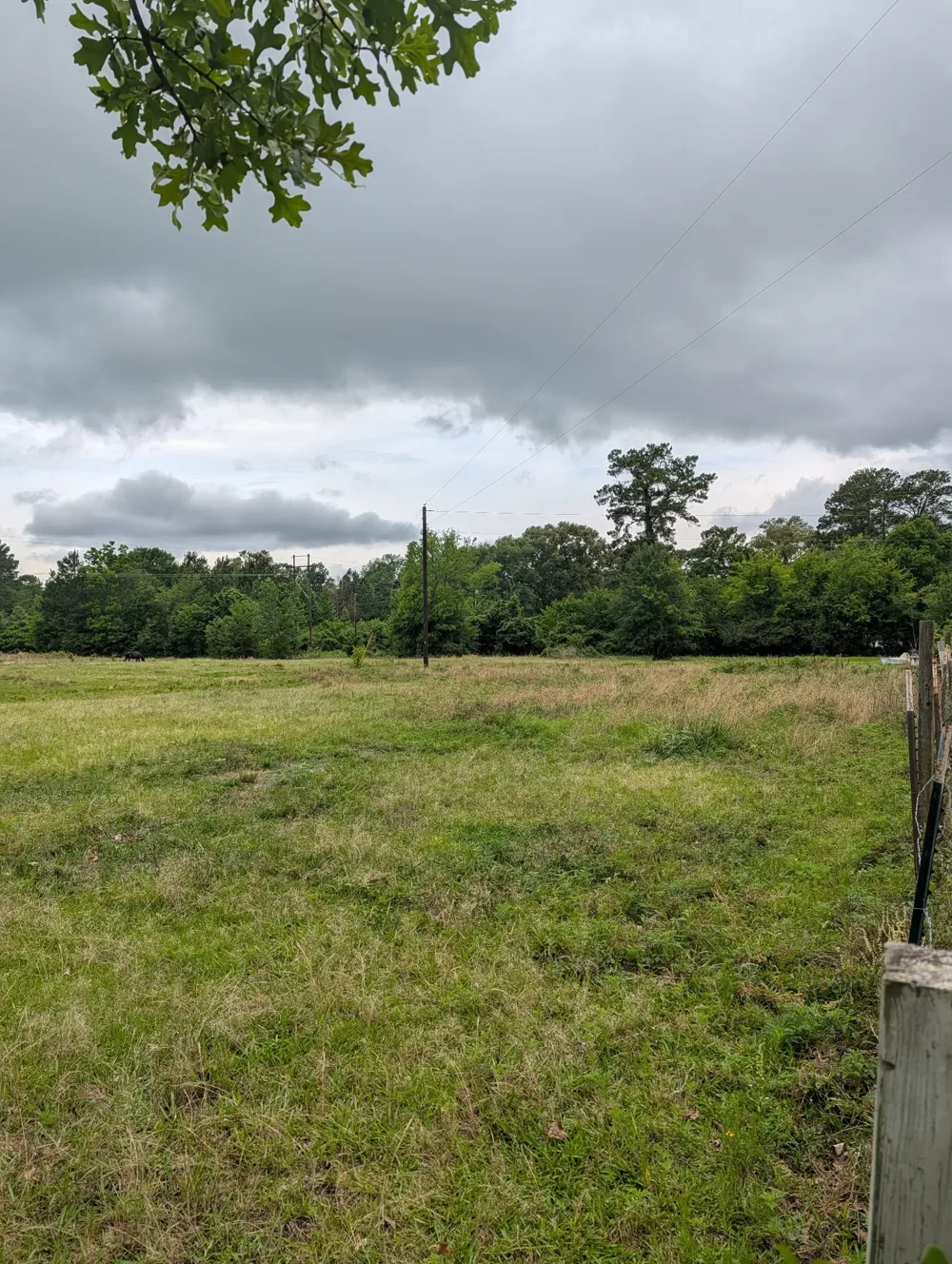 CR 3448 Hawkins, TX 75765