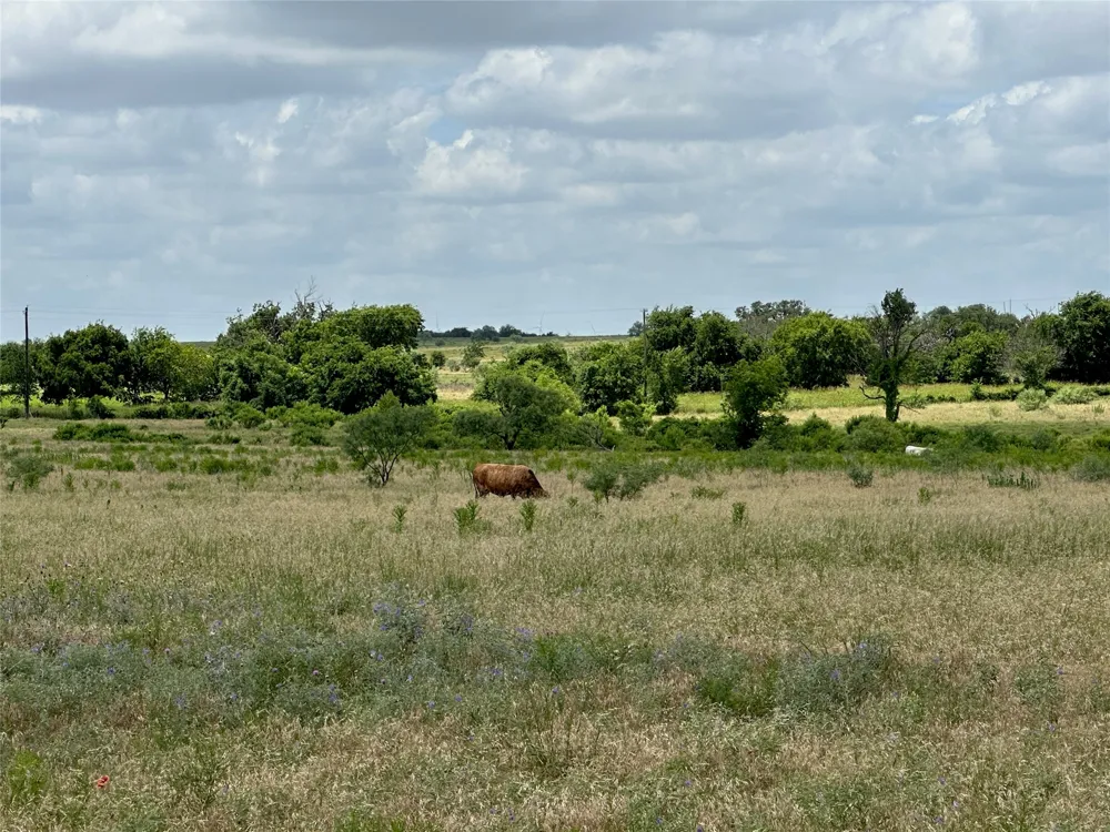 5 Pecan Valley Drive Comanche, TX 76452