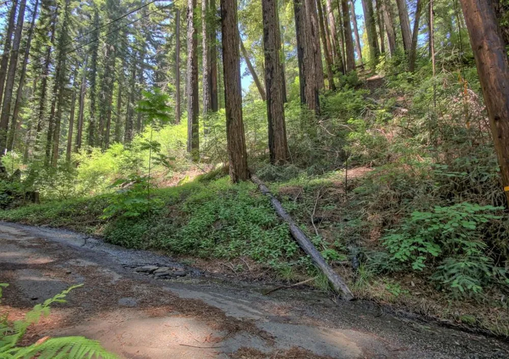 154 Leafwood Drive Boulder Creek, CA 95006