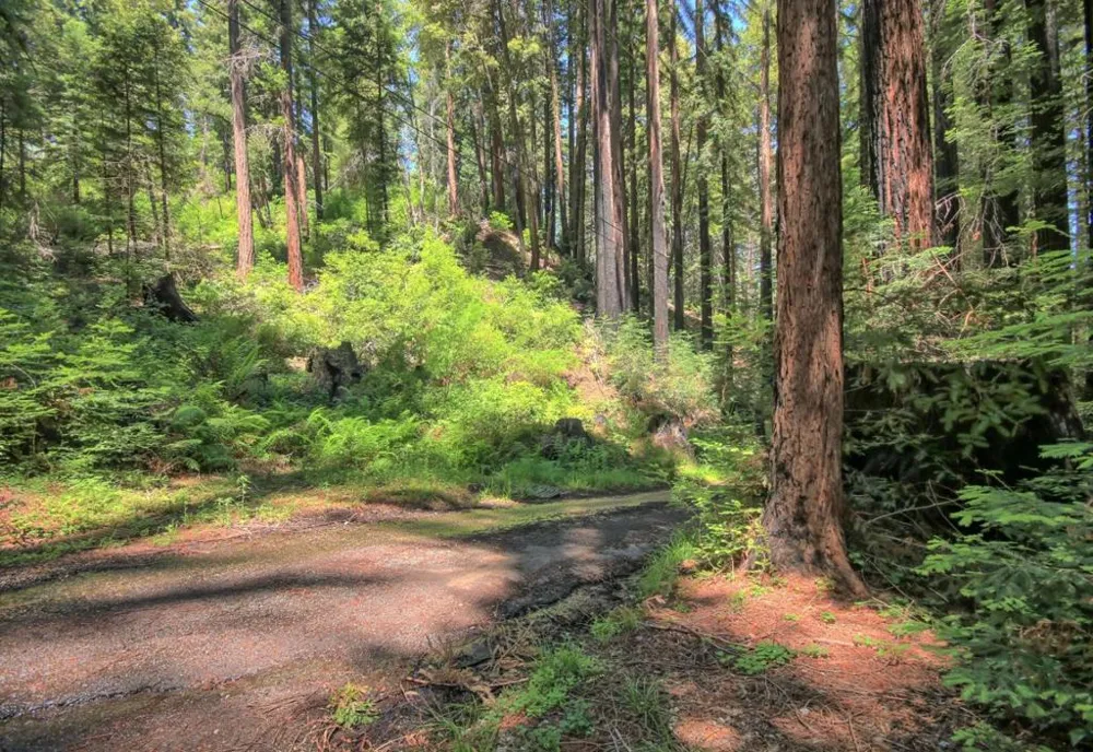 154 Leafwood Drive Boulder Creek, CA 95006