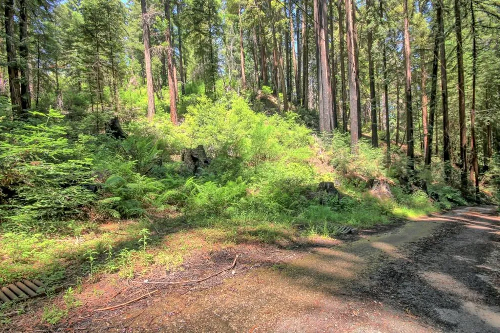 154 Leafwood Drive Boulder Creek, CA 95006