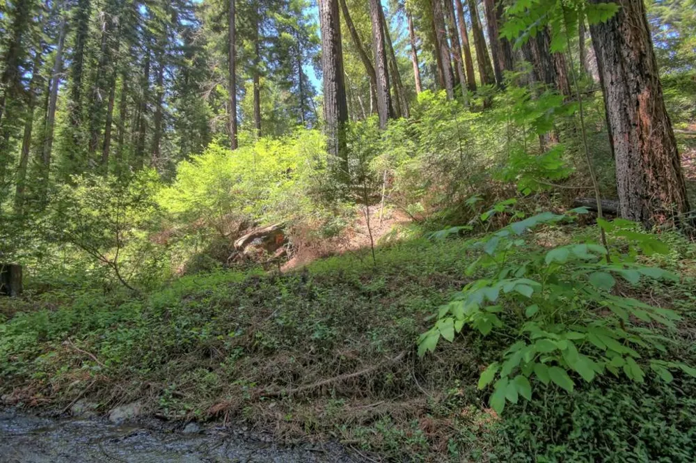154 Leafwood Drive Boulder Creek, CA 95006