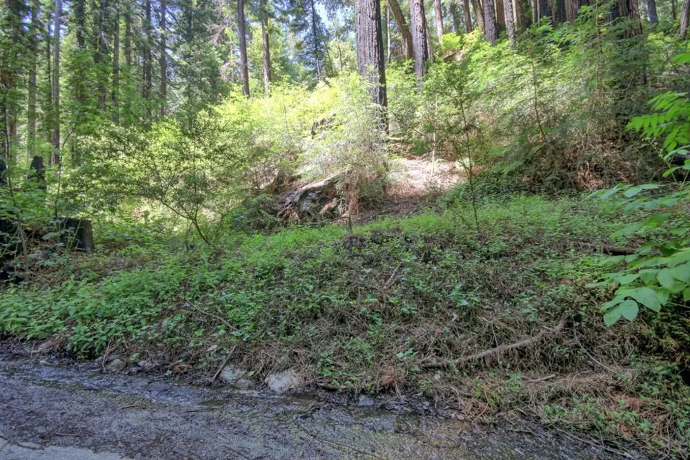 154 Leafwood Drive Boulder Creek, CA 95006