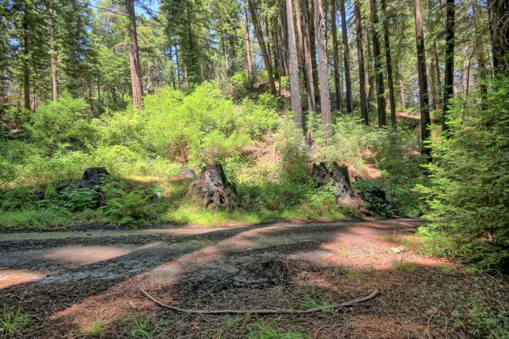 154 Leafwood Drive Boulder Creek, CA 95006