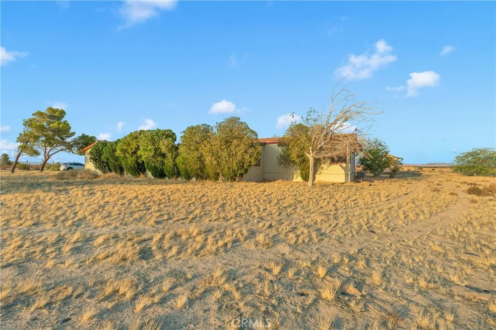33445 Newberry Newberry Springs, CA 92365