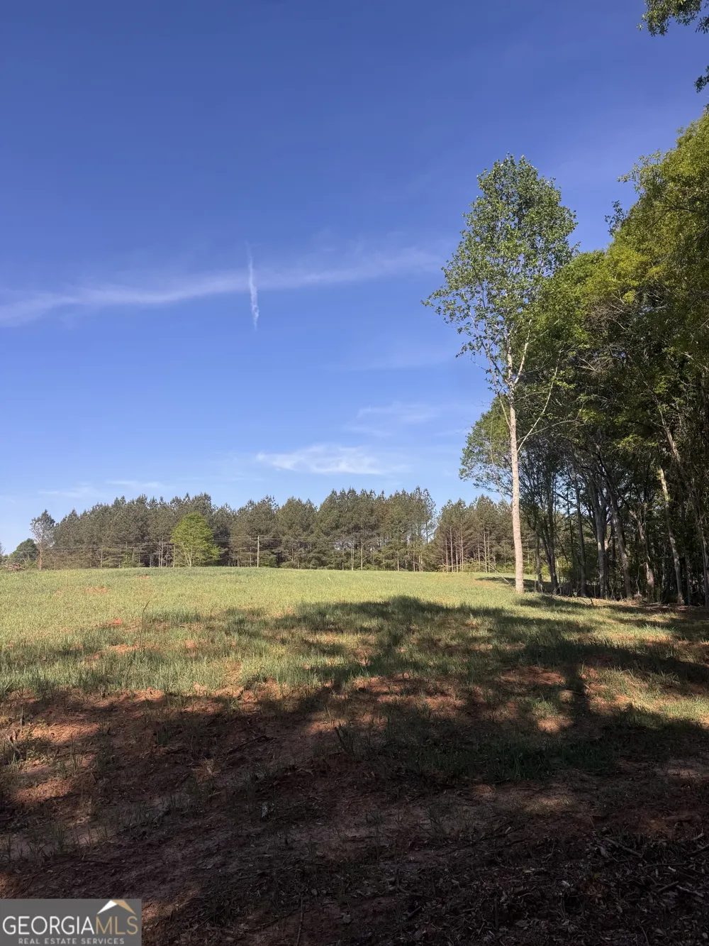0 County Road 432 LOT 4 Woodland, AL 36280