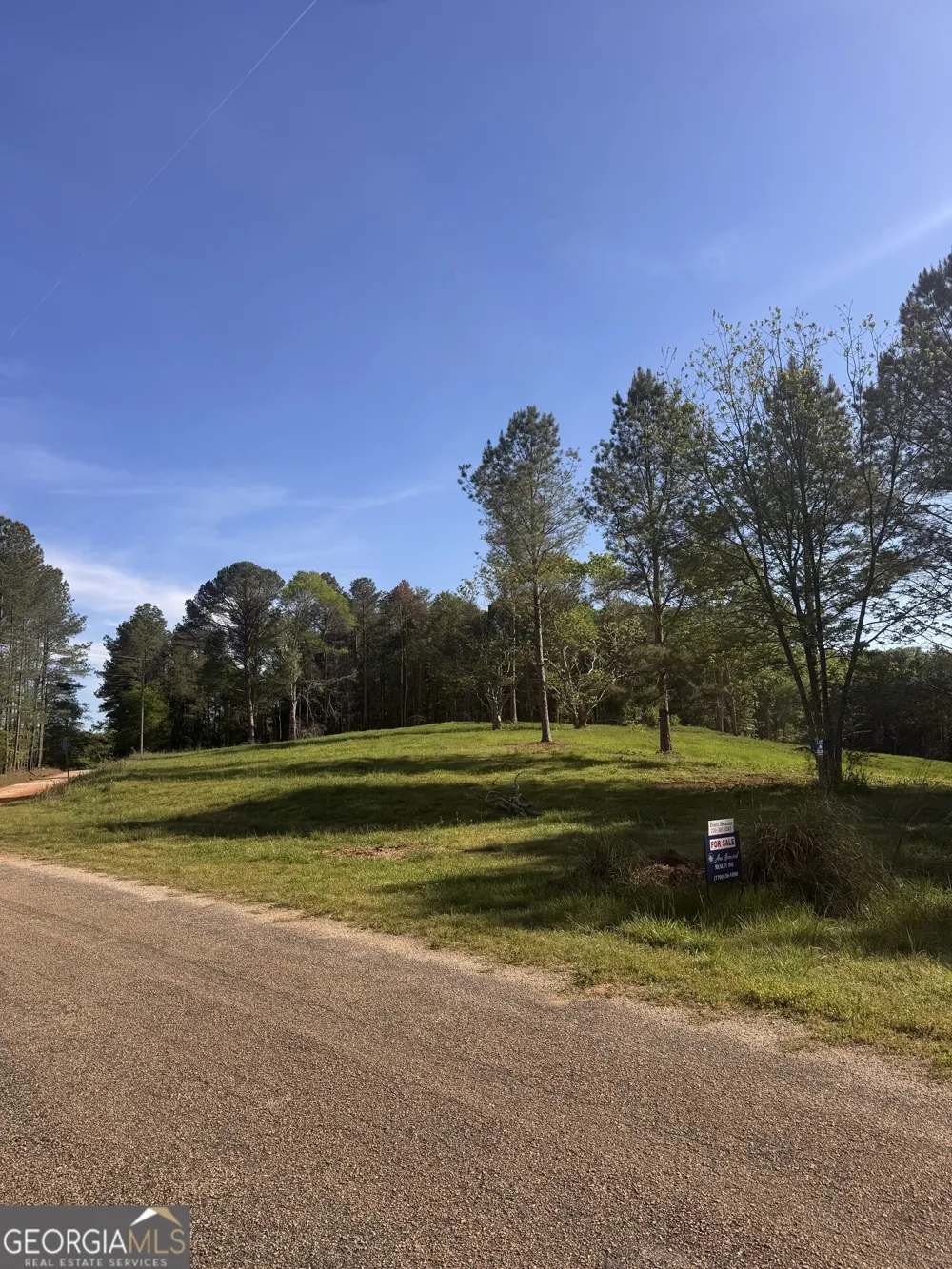 0 County Road 432 LOT 4 Woodland, AL 36280