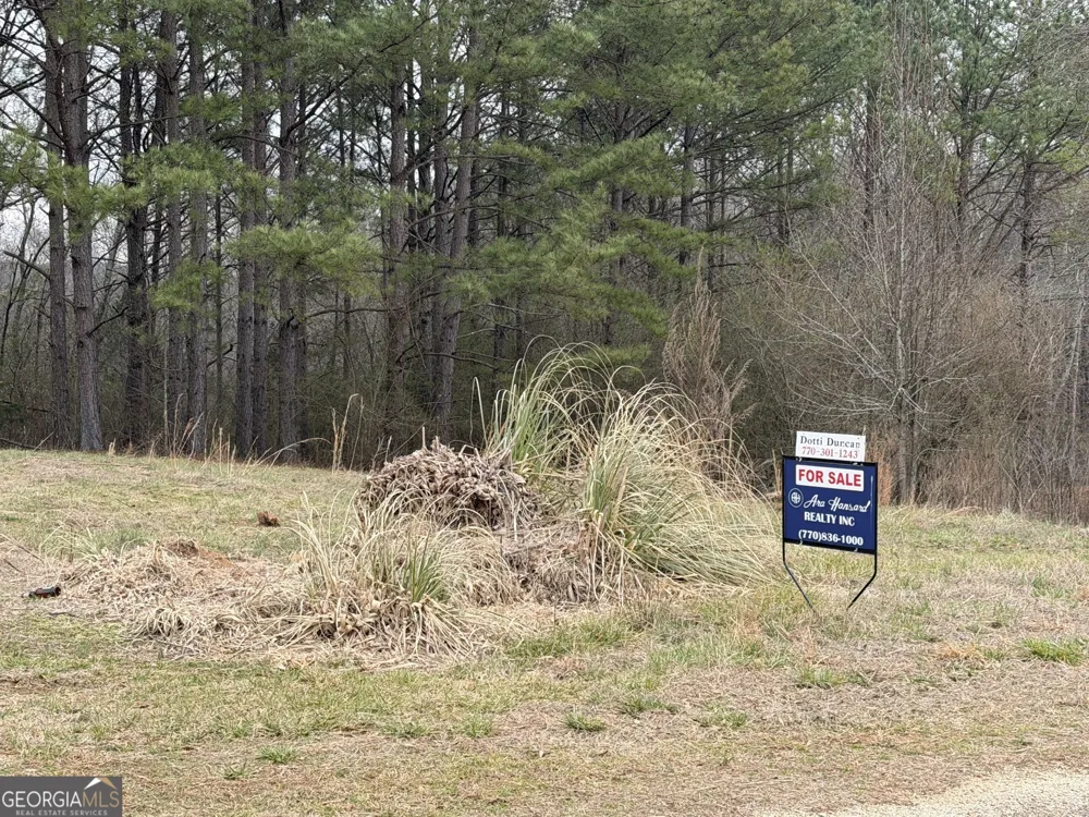 0 County Road 432 LOT 6 Woodland, AL 36280