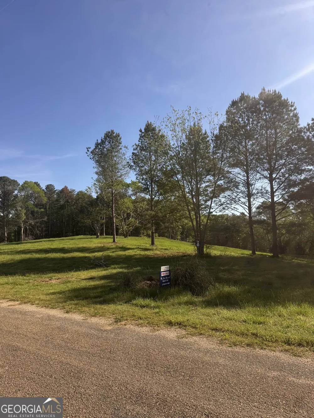 0 County Road 432 LOT 6 Woodland, AL 36280