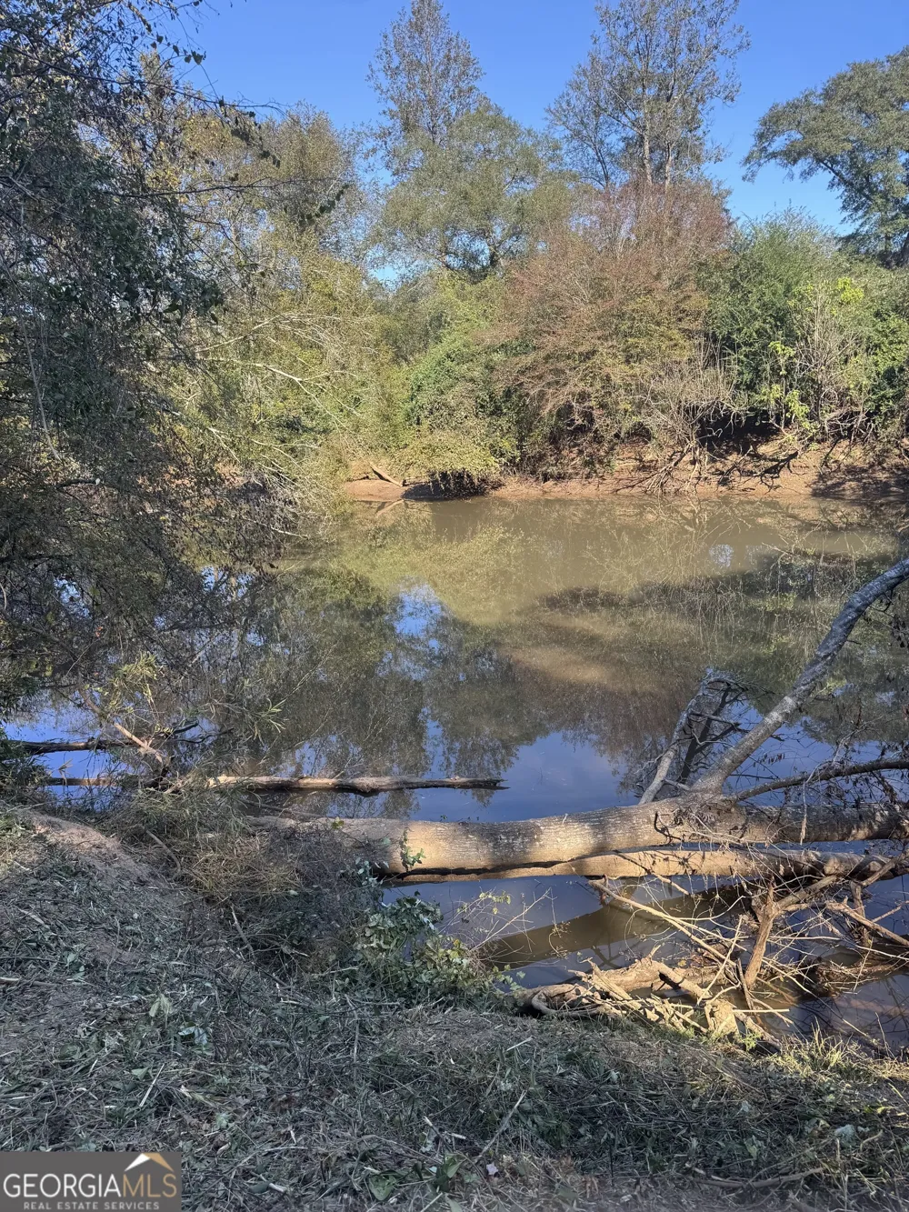 0 County Road 432 LOT 6 Woodland, AL 36280
