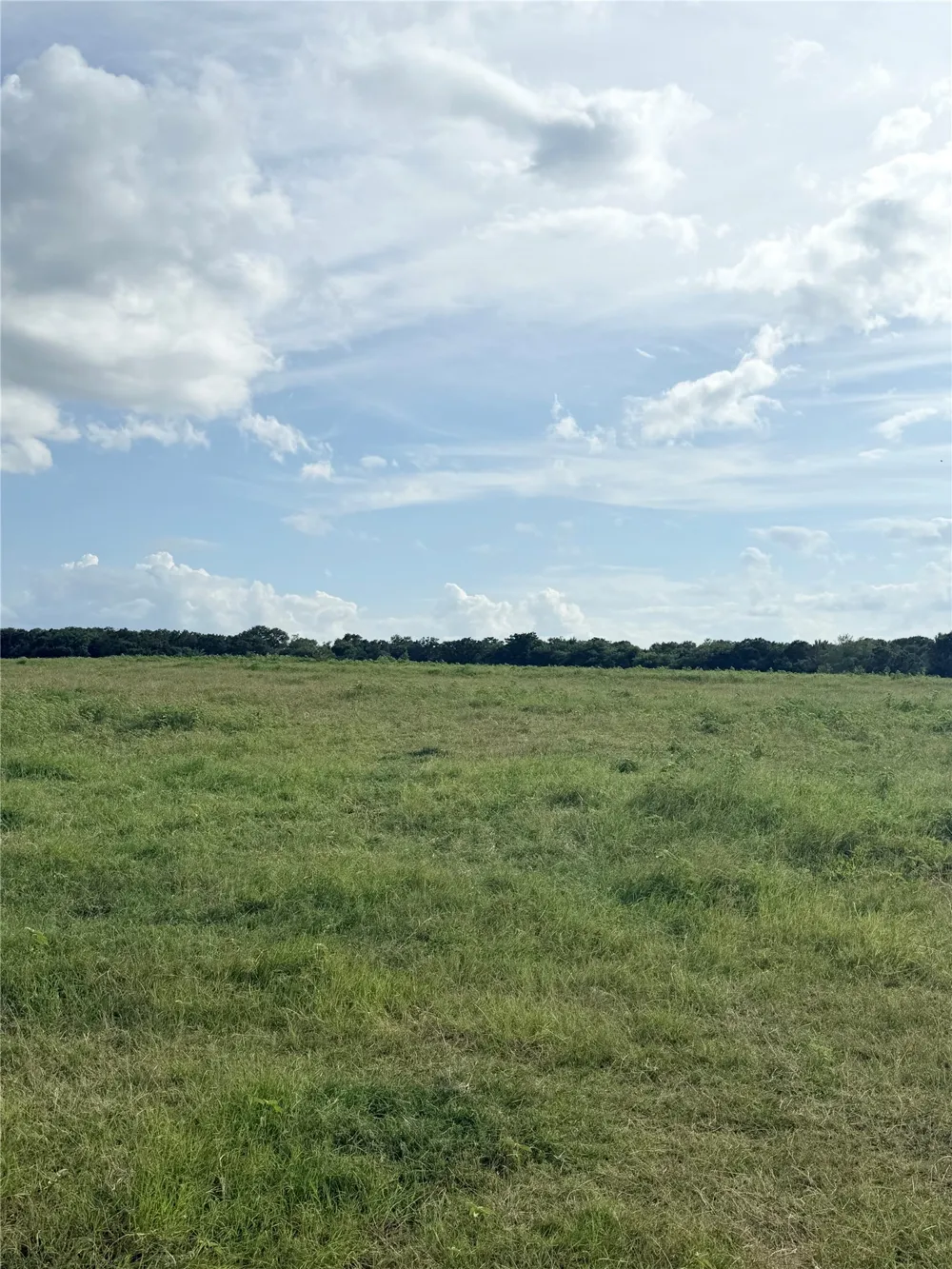 580 VZ County Road1819 Grand Saline, TX 75140