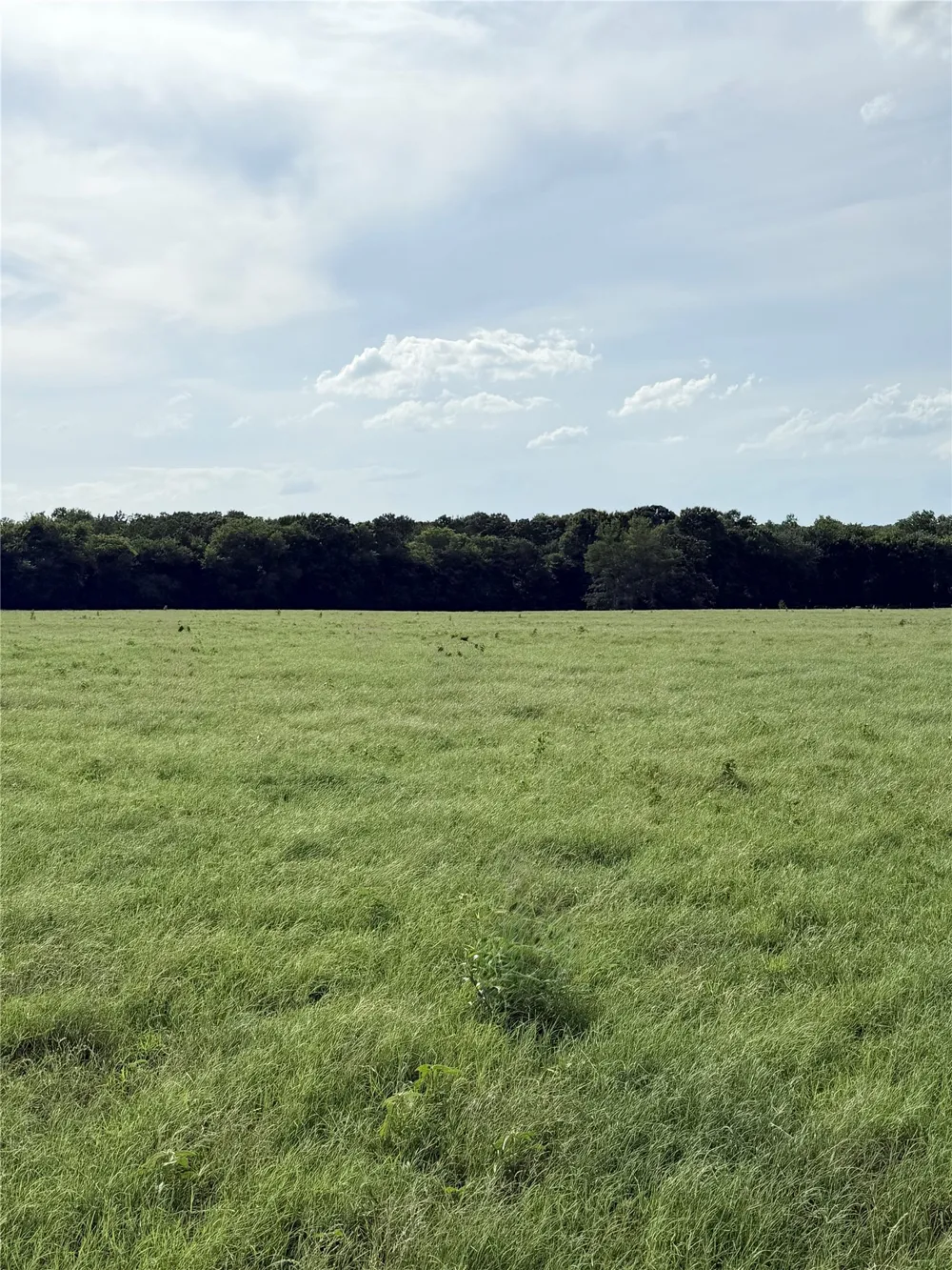 580 VZ County Road1819 Grand Saline, TX 75140