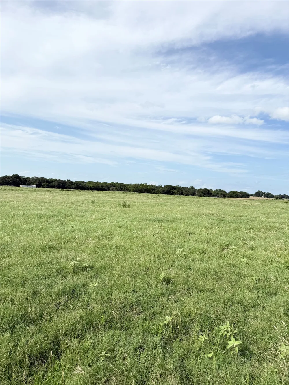 580 VZ County Road1819 Grand Saline, TX 75140