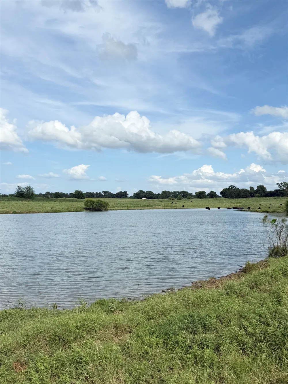 580 VZ County Road1819 Grand Saline, TX 75140