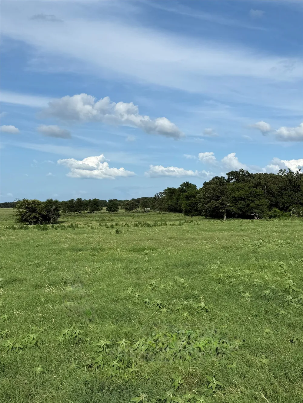 580 VZ County Road1819 Grand Saline, TX 75140