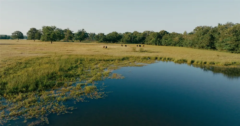 County Road 3908 Wills Point, TX 75169