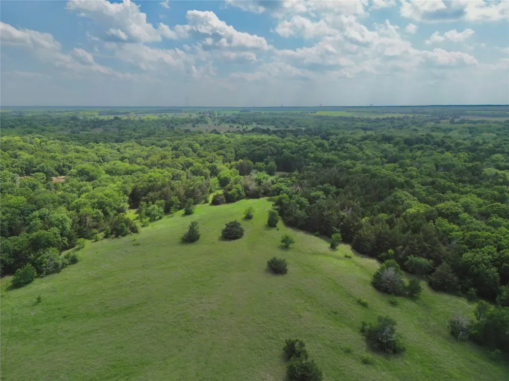 FM 1752 Savoy, TX 75479