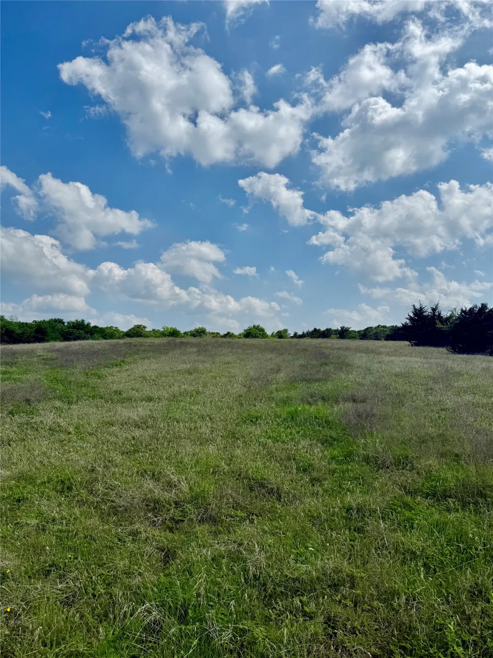 FM 1752 Savoy, TX 75479