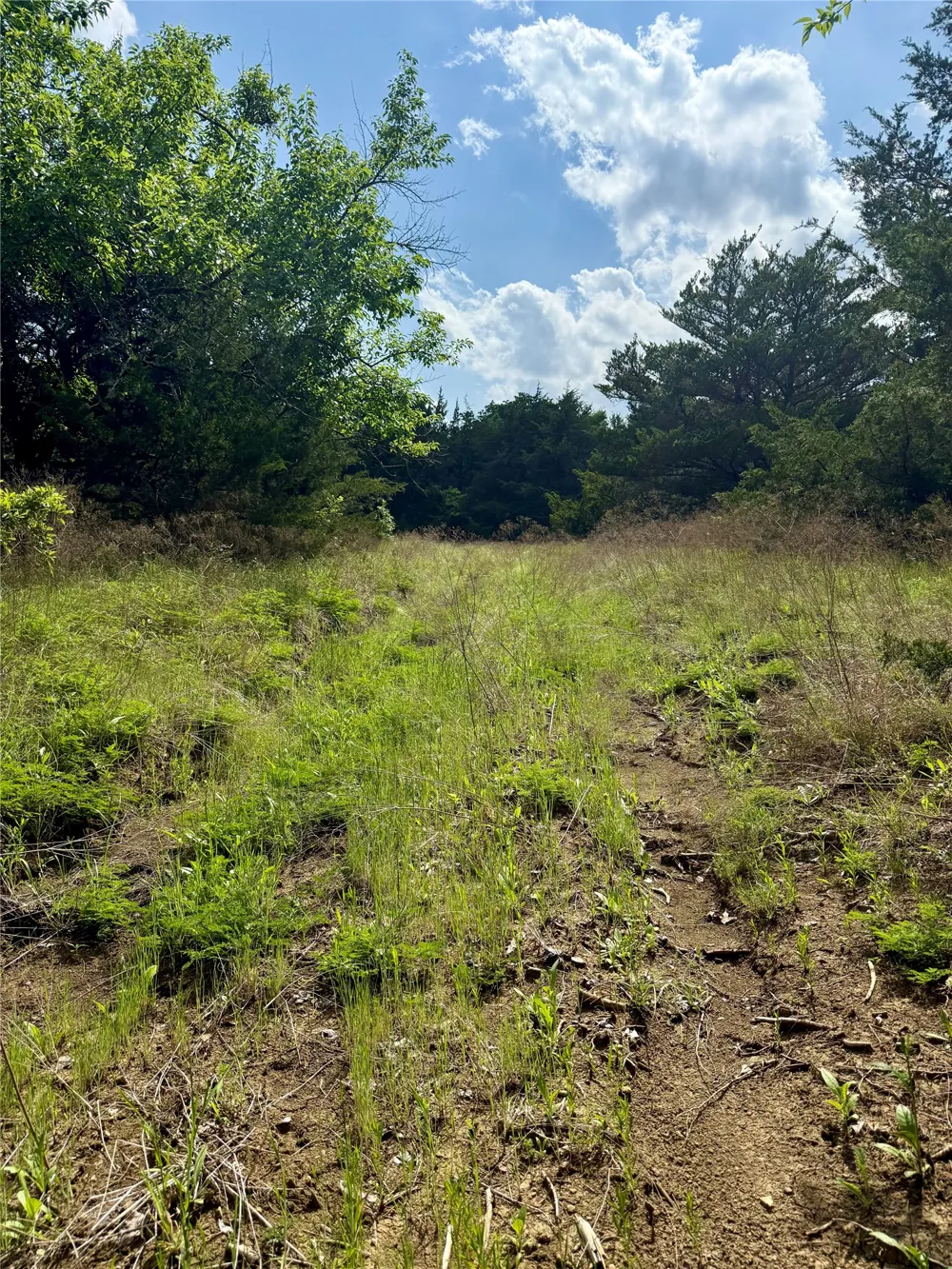FM 1752 Savoy, TX 75479
