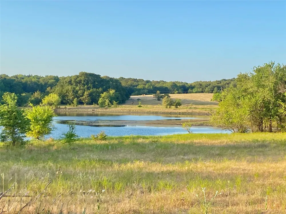 FM 1752 Savoy, TX 75479