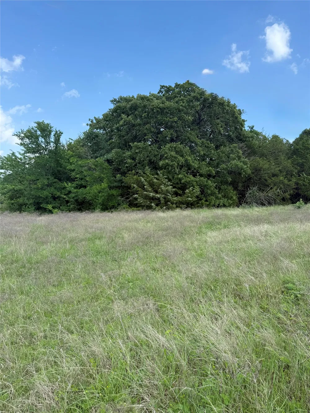 FM 1752 Savoy, TX 75479