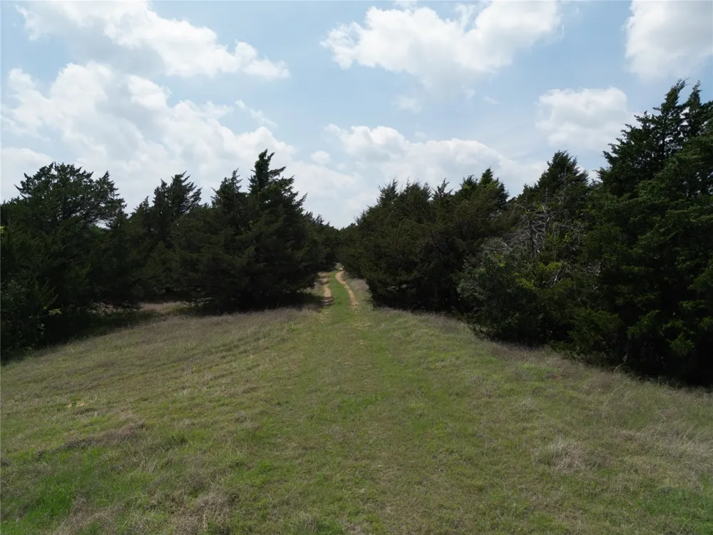 FM 1752 Savoy, TX 75479