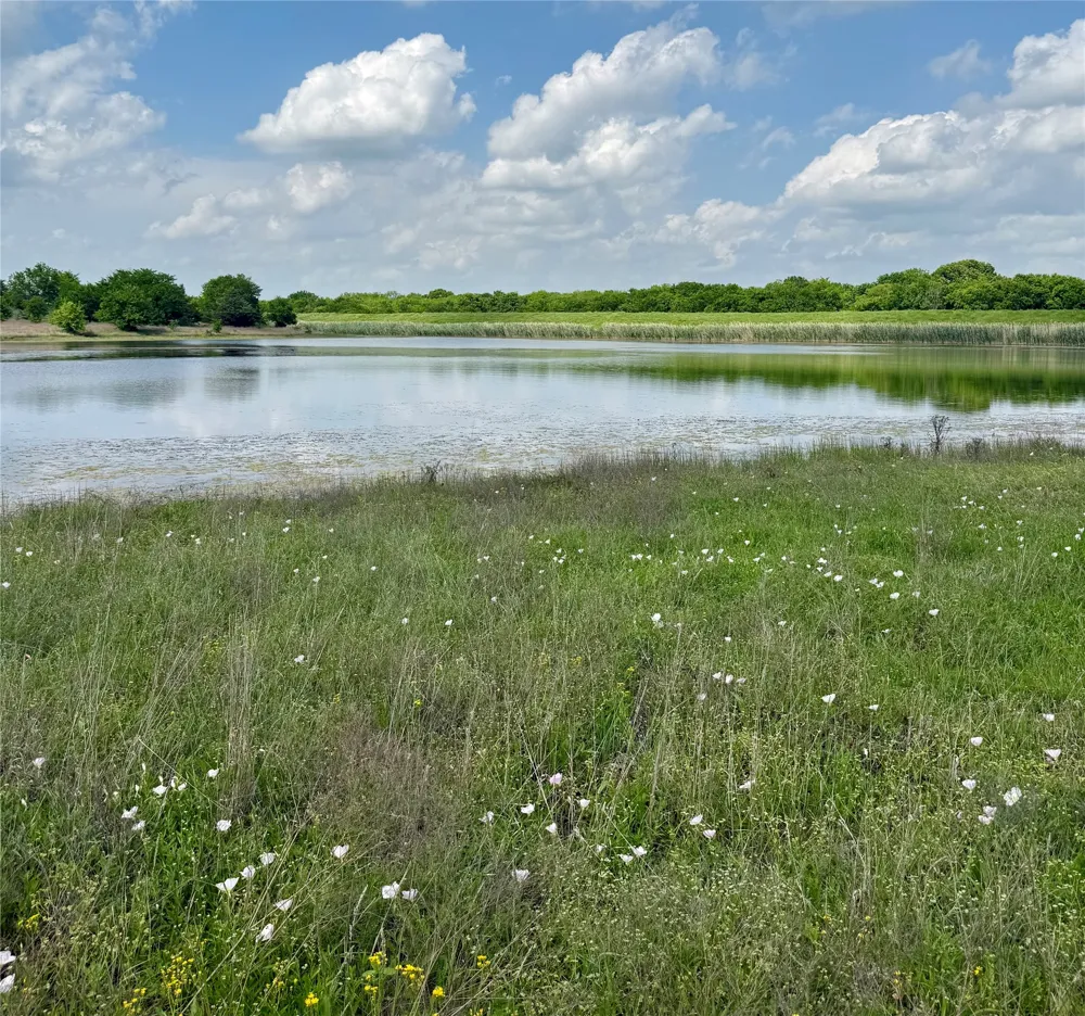 FM 1752 Savoy, TX 75479