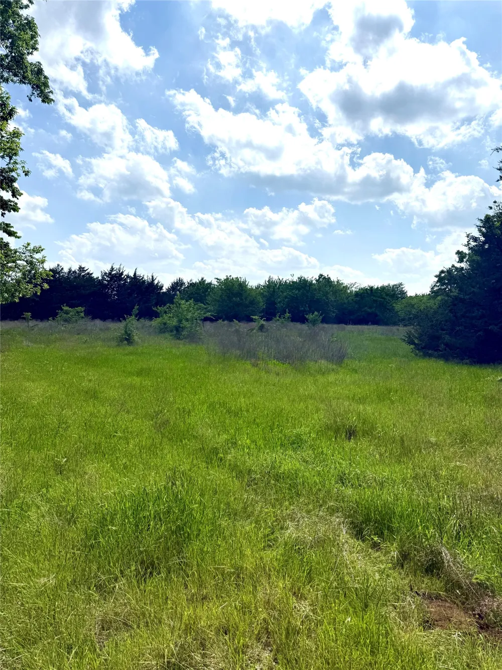FM 1752 Savoy, TX 75479