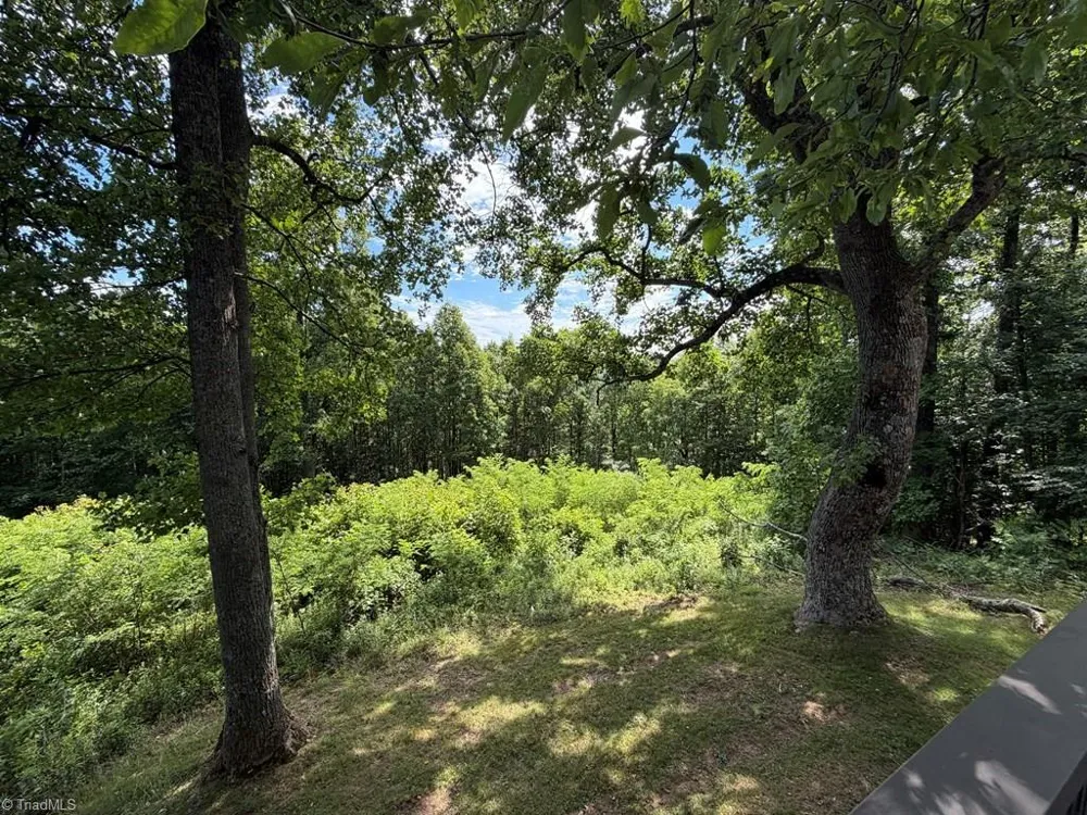794 RHODODENDRON ROAD Hillsville, VA 24343