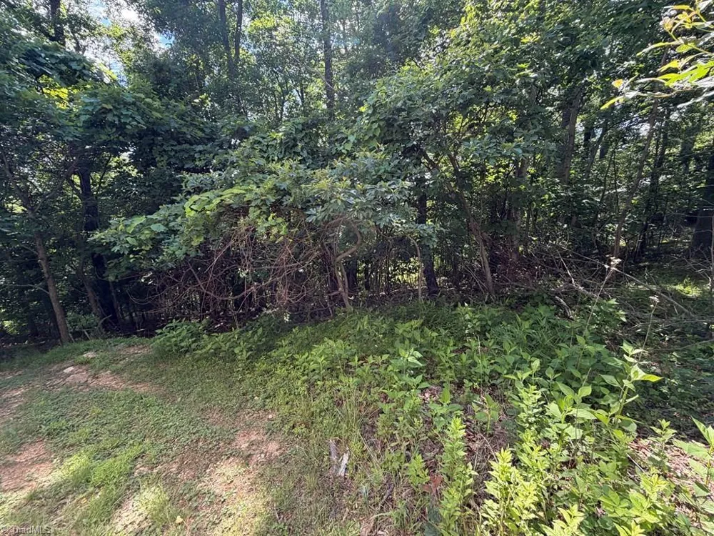 794 RHODODENDRON ROAD Hillsville, VA 24343