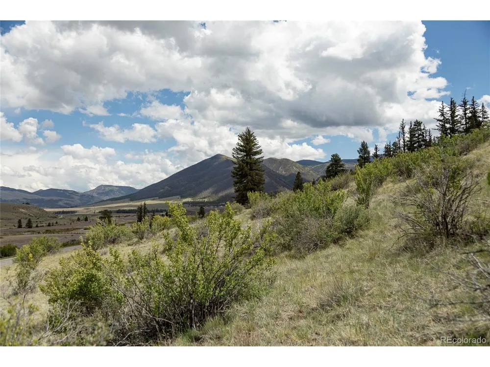 TBD Hwy 149 Creede, CO 81130