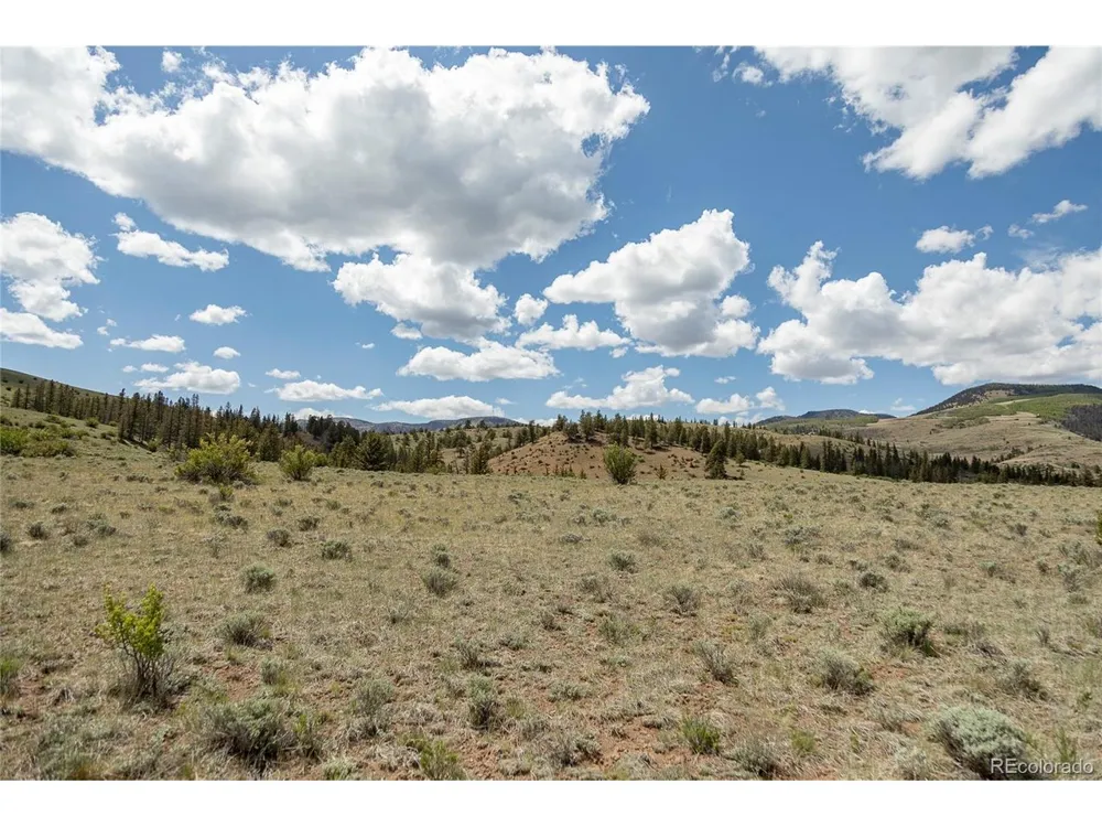 TBD Hwy 149 Creede, CO 81130