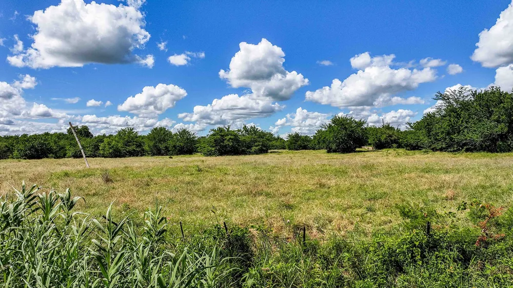 4 County Road 1104 Celeste, TX 75423