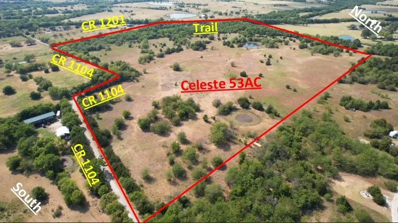 3 County Road 1104 Celeste, TX 75423