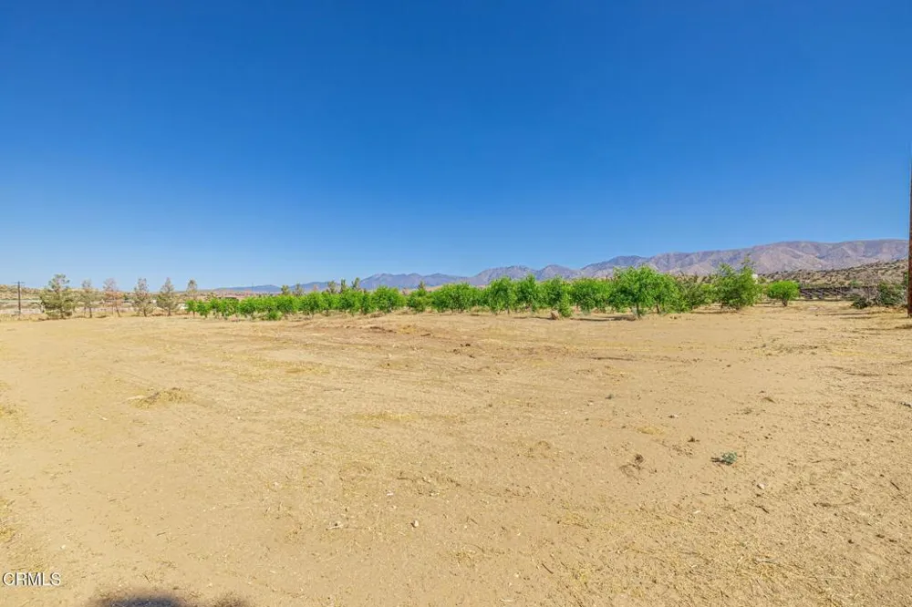 33000 106th Street E Juniper Hills, CA 93543
