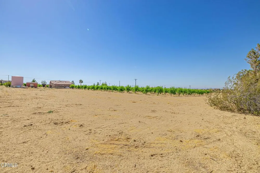 33000 106th Street E Juniper Hills, CA 93543