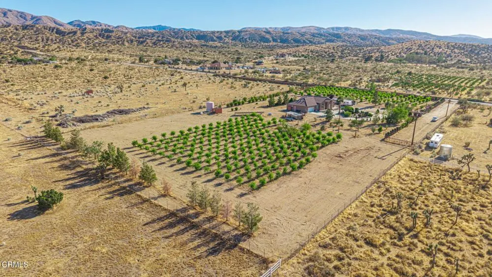 33000 106th Street E Juniper Hills, CA 93543