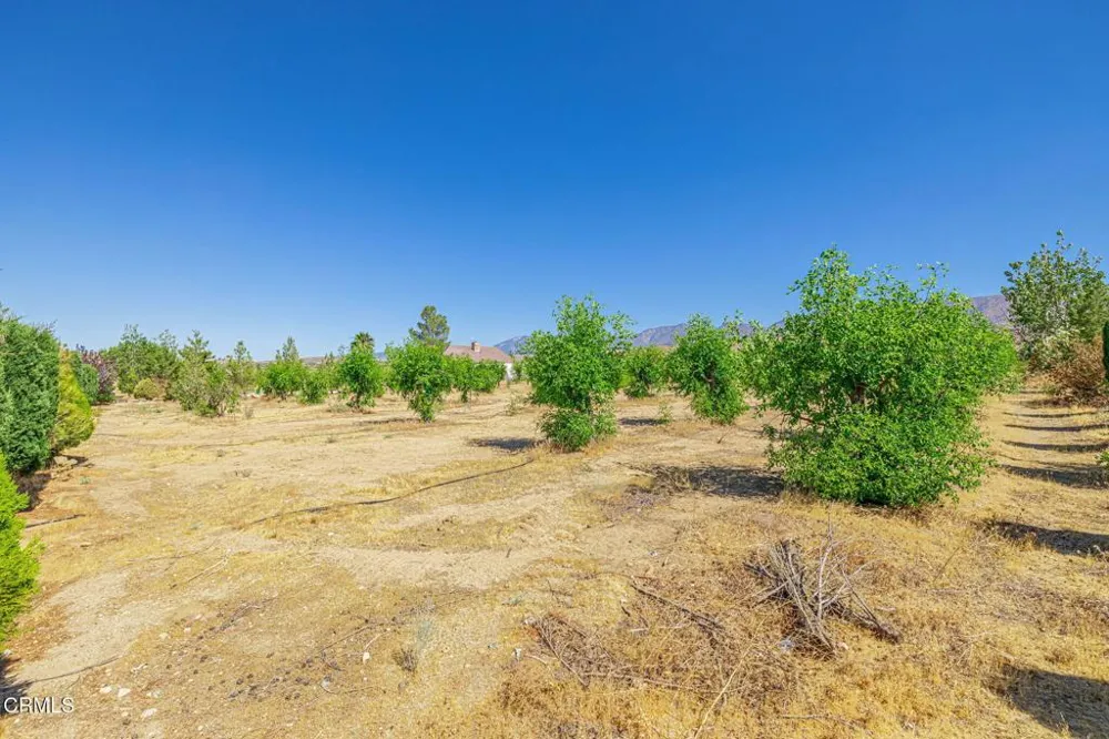 33000 106th Street E Juniper Hills, CA 93543