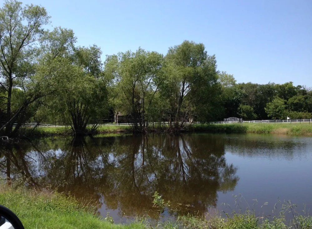 11321 Wild Rose Lane Anna, TX 75409