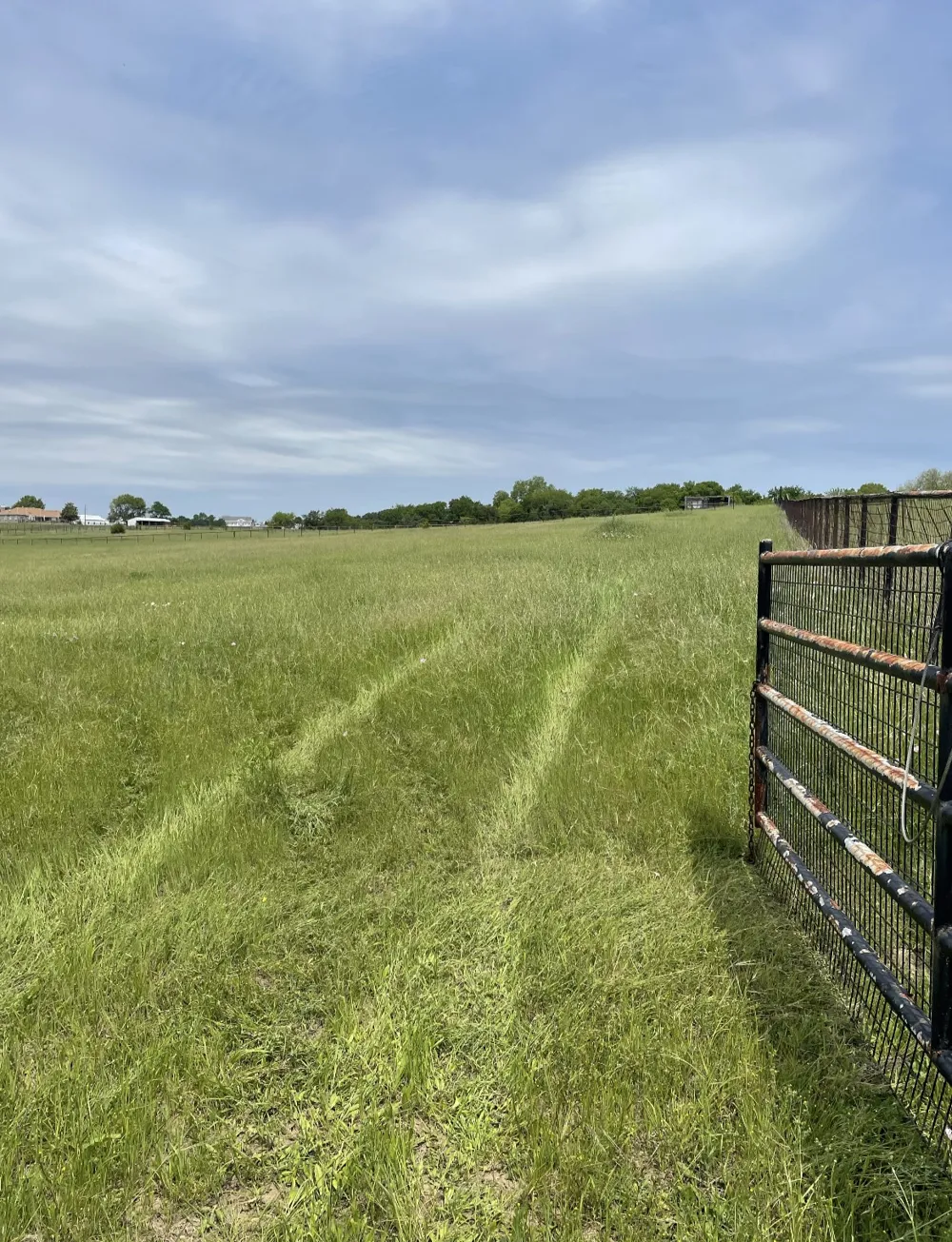 11321 Wild Rose Lane Anna, TX 75409
